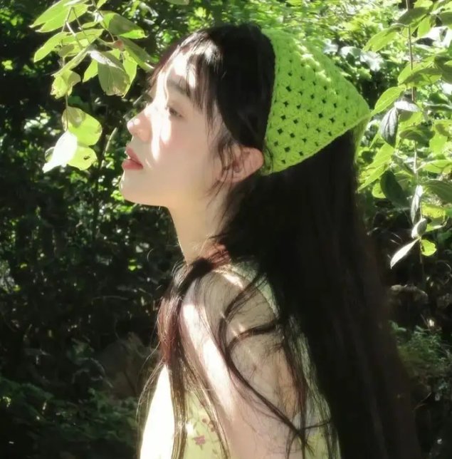 鳄鱼群